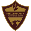 Stellenbosch logo