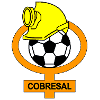 Cobresal logo