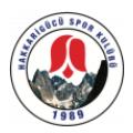 Hakkarigucu Spor F