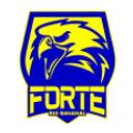 Forte U20