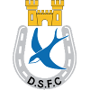 Dungannon logo