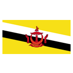 Brunei U20