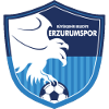 Erzurumspor logo