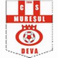 Muresul Deva