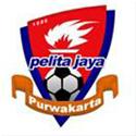 Pelita Jaya