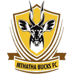 Mthatha Bucks