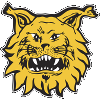 Ilves 2