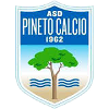 ASD Pineto Calcio logo