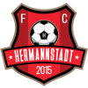 FC Hermannstadt logo