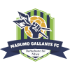 Marumo Gallants logo