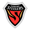 Pohang logo