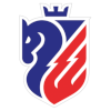 Botosani logo